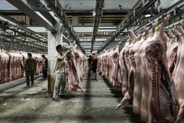 Posponen proyecto de Instituto de la Carne