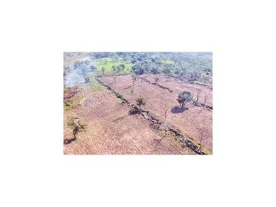 Detectan desmonte de 30 hectáreas en zona de Horqueta