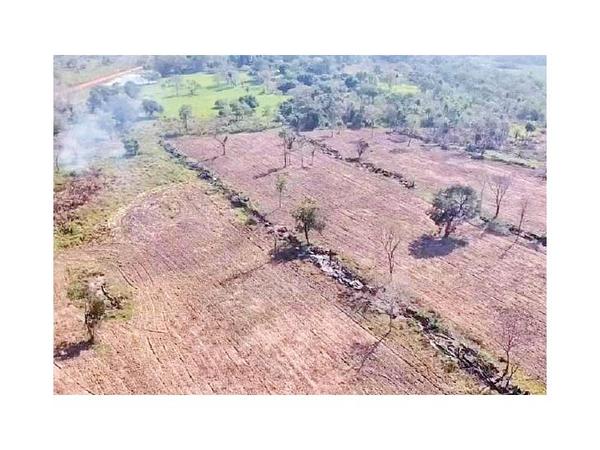 Detectan desmonte de 30 hectáreas en zona de Horqueta