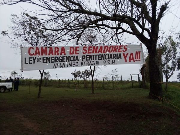 Urgen al Senado que trate ley de emergencia penitenciaria - Digital Misiones