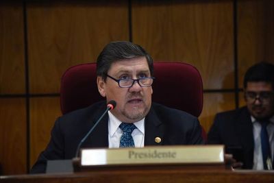 Acuerdo bilateral: Llano cuestiona poca apertura del Ejecutivo - Nacionales - ABC Color