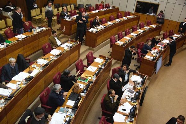 Sesión extra en Senado por cuestionado acuerdo energético con Brasil - Nacionales - ABC Color