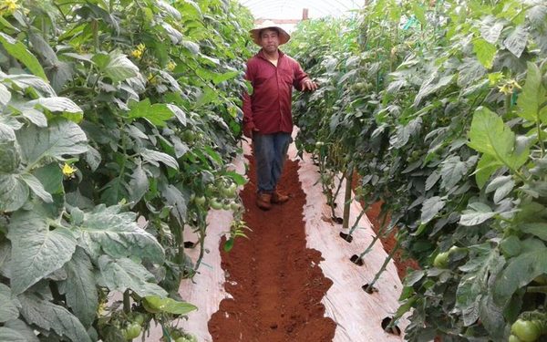 Productores participarán de día de campo en comunidad El Triunfo