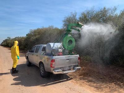 Buscan controlar focos de langostas con aplicación de pesticidas, en el Chaco - ADN Paraguayo
