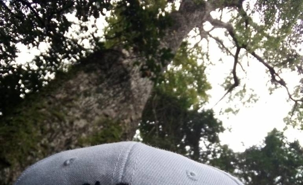 HOY / Colosos de la Tierra: emoción, aventura y todo el encanto de la naturaleza