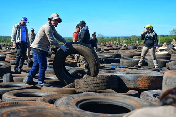 Culmina campaña “Pará na los criaderos” con reducción de 90% de casos