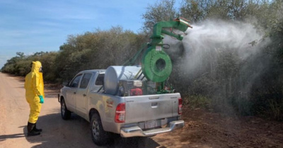 Combaten langostas en el Chaco