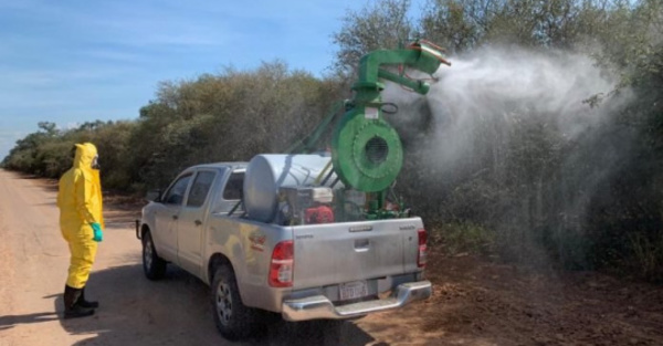 Combaten langostas en el Chaco