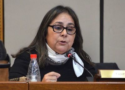 Postergan proyecto que aumenta suplentes