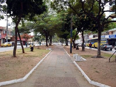 Desmantelaron un cercado que costó G. 1.800 millones - Interior - ABC Color