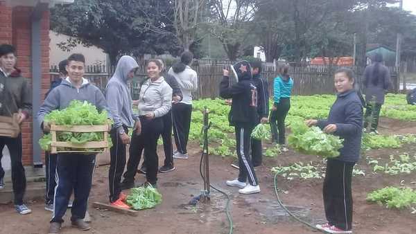 Alumnos producen huerta escolar en Loreto