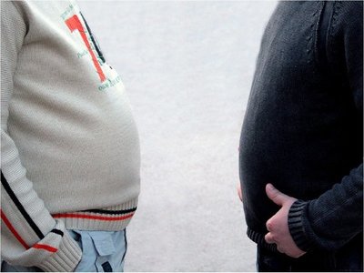 Bacterias en la flora intestinal protegen contra la obesidad