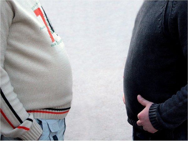 Bacterias en la flora intestinal protegen contra la obesidad