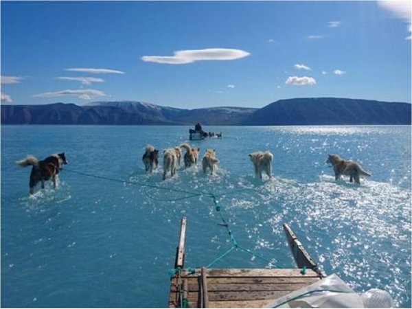 Ola de calor amenaza con reducir capa de hielo en Groenlandia
