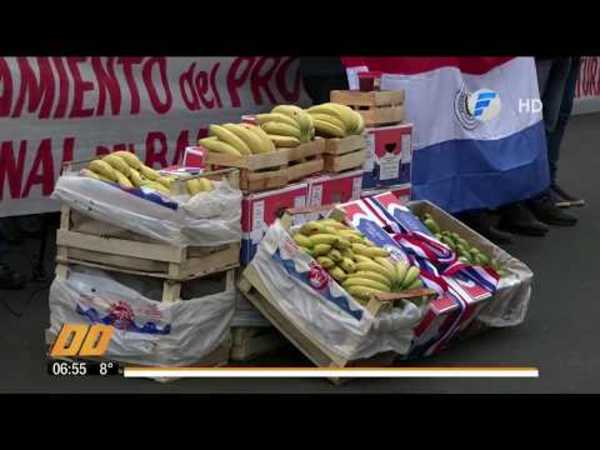 Incluyen banana en la merienda escolar