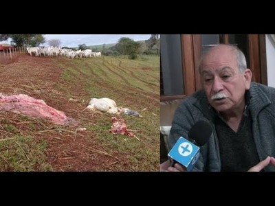 GANADEROS RECLAMAN MAYOR ACCIÓN CONTRA EL ABIGEATO