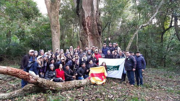 Buscan al árbol más coloso en rancho de Horqueta - Nacionales - ABC Color