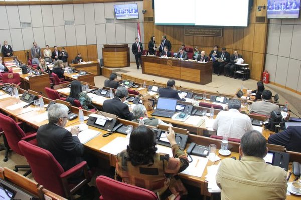 Tema Energía: Senado convoca en sesión extra a autoridades - ADN Paraguayo