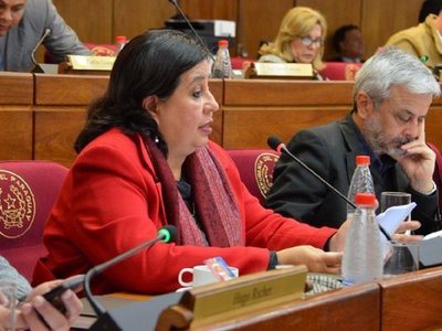 Senado insta al Ejecutivo a presentar documentación sobre acuerdo de Itaipú