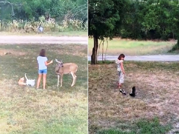 Niña se comunica con animales y sorprende en redes sociales