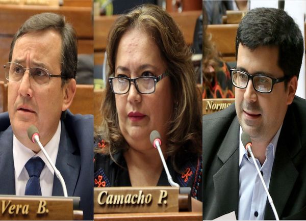 Diputados están alertas y preocupados por acuerdo