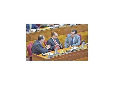Sancionan a Friedmann por sus ausencias en el Senado