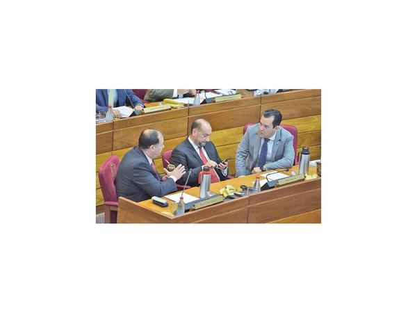 Sancionan a Friedmann por sus ausencias en el Senado