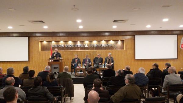 Paraguay recibe dádivas de Itaipú, según volpe - Nacionales - ABC Color