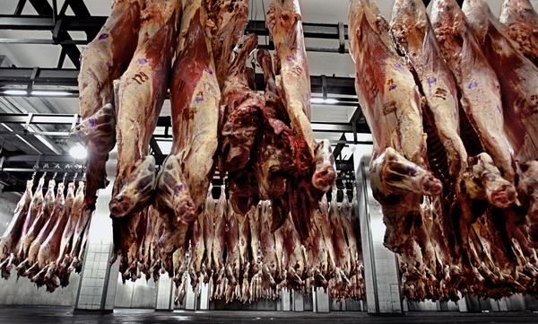 ¿Qué pasará con la compra de carne? Rusia prevé inversión millonaria para desarrollo de la ganadería