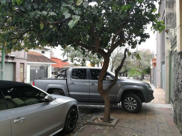 Camioneta con complejo de peatón - Crónicas Ciudadanas - ABC Color