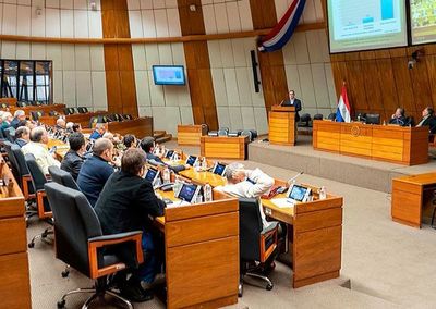 Diputados plantearán Comisión que controle acuerdo bilateral - Nacionales - ABC Color
