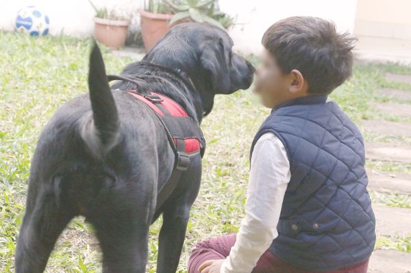 El mejor amigo de nuestras vidas