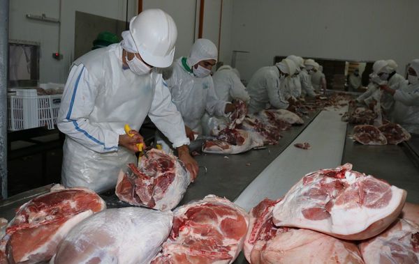 Ingresos del sector porcino caen 9,3% en el 1er. semestre