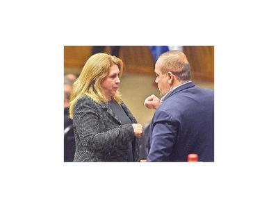 Plantean ley para proteger a la familia