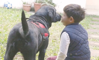 HOY / El mejor amigo de nuestras vidas