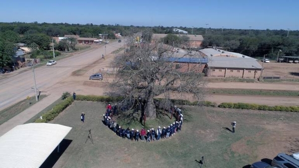 HOY / Cinco árboles del Chaco compiten por ser el próximo Coloso de la Tierra 2019