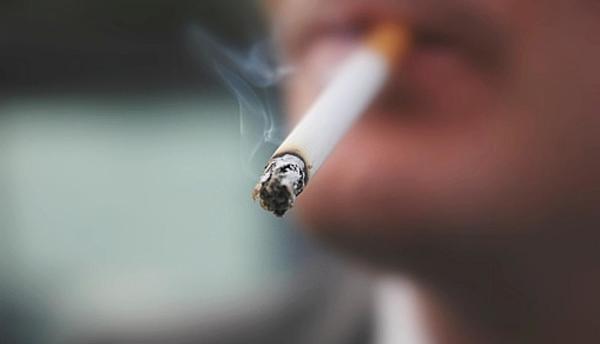 La OMS pide a los países más medios para combatir el tabaquismo - La Unión