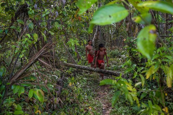 Policía de Brasil investiga muerte de líder indígena e invasión de aldea