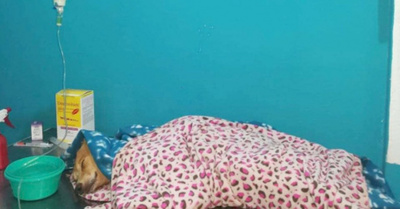 “Estaba helado como esas barras de hielo”