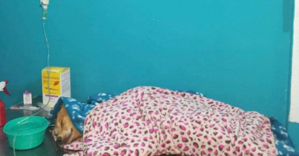 “Estaba helado como esas barras de hielo”