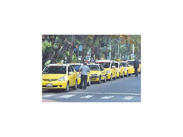 Concejales de capital inician estudio sobre las paradas de taxis