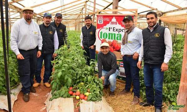 ''Filo Hortic'' prepara la primera edición de ''Expo Tomate en Misiones'' - Digital Misiones