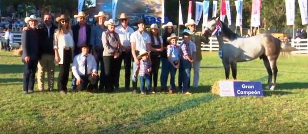 Programa ABC Rural Tv 892 - ABC Rural - ABC Color