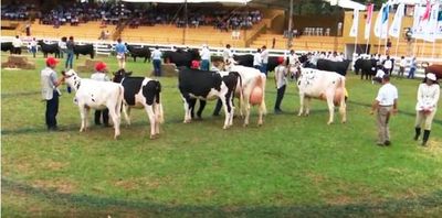 Razas lecheras - Muestra Internacional 2019 - ABC Rural - ABC Color