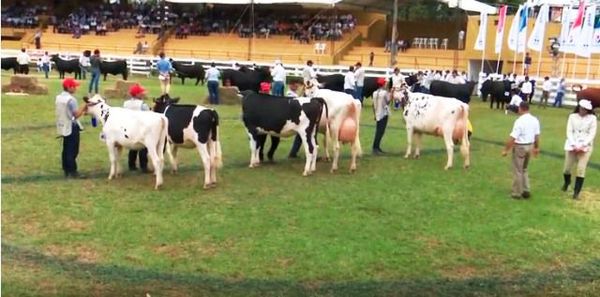 Razas lecheras - Muestra Internacional 2019 - ABC Rural - ABC Color