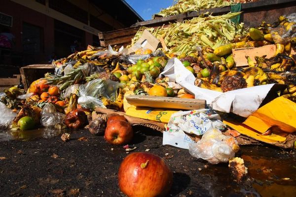 Toneladas de comida son desechadas, mientras millones pasan hambre - Periodismo Joven - ABC Color