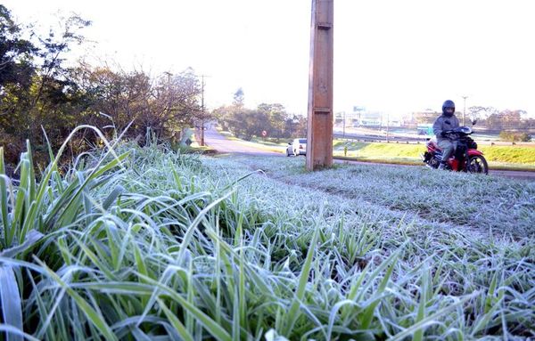 Sector hortifrutícola, el más afectado por la helada - Nacionales - ABC Color