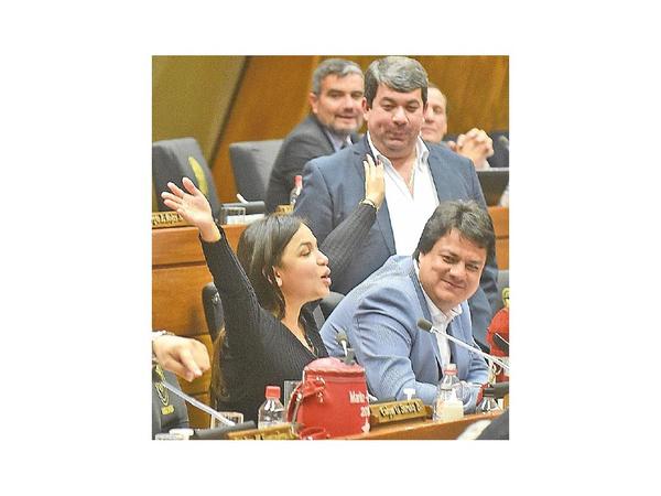 Tras fuertes críticas, diputados aprueban crear comisión