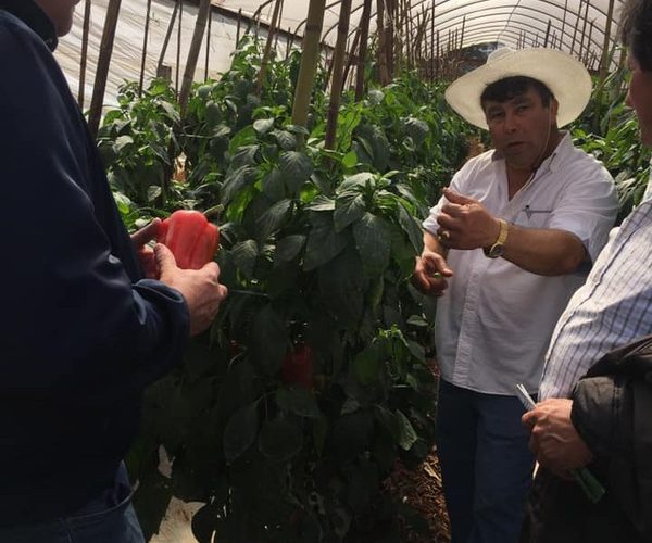 Exitoso día de campo para capacitar a productores