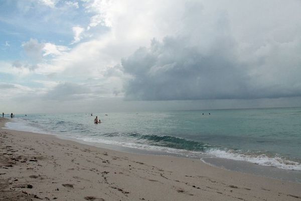 Nuevo ataque de tiburón en una playa de Florida, el tercero en 72 horas - Mundo - ABC Color
